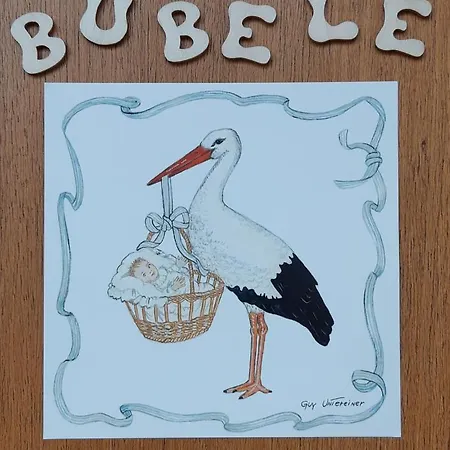 Le BUBELE au coeur du centre médiéval et vignoble Ribeauvillé Extérieur photo