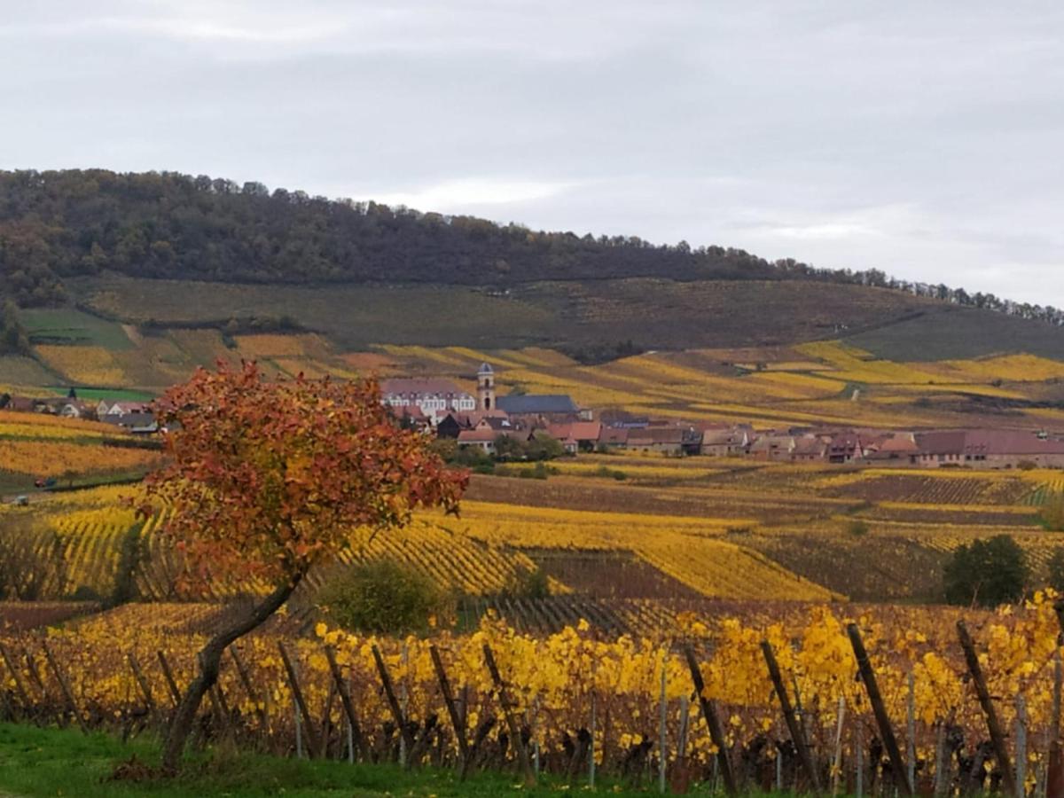 Appartement Le Bubele Au Coeur Du Centre Médiéval Et Vignoble