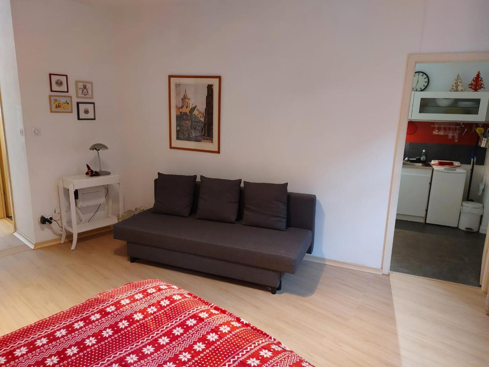 Le Bubele Au Coeur Du Centre Médiéval Et Vignoble Apartamento Ribeauvillé